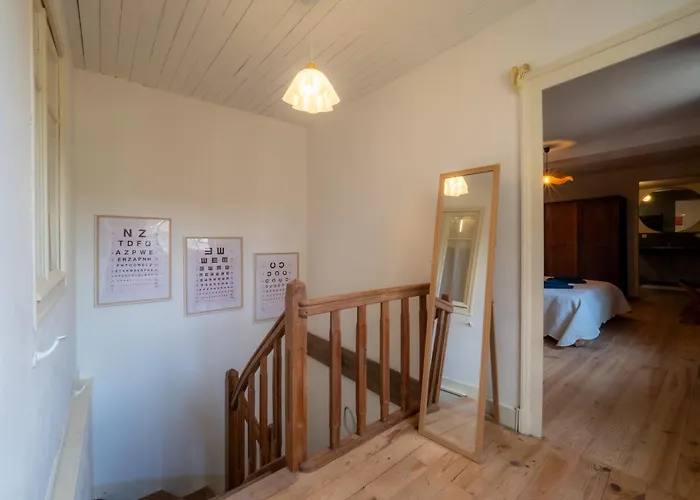 Le Gentil Coquelicot